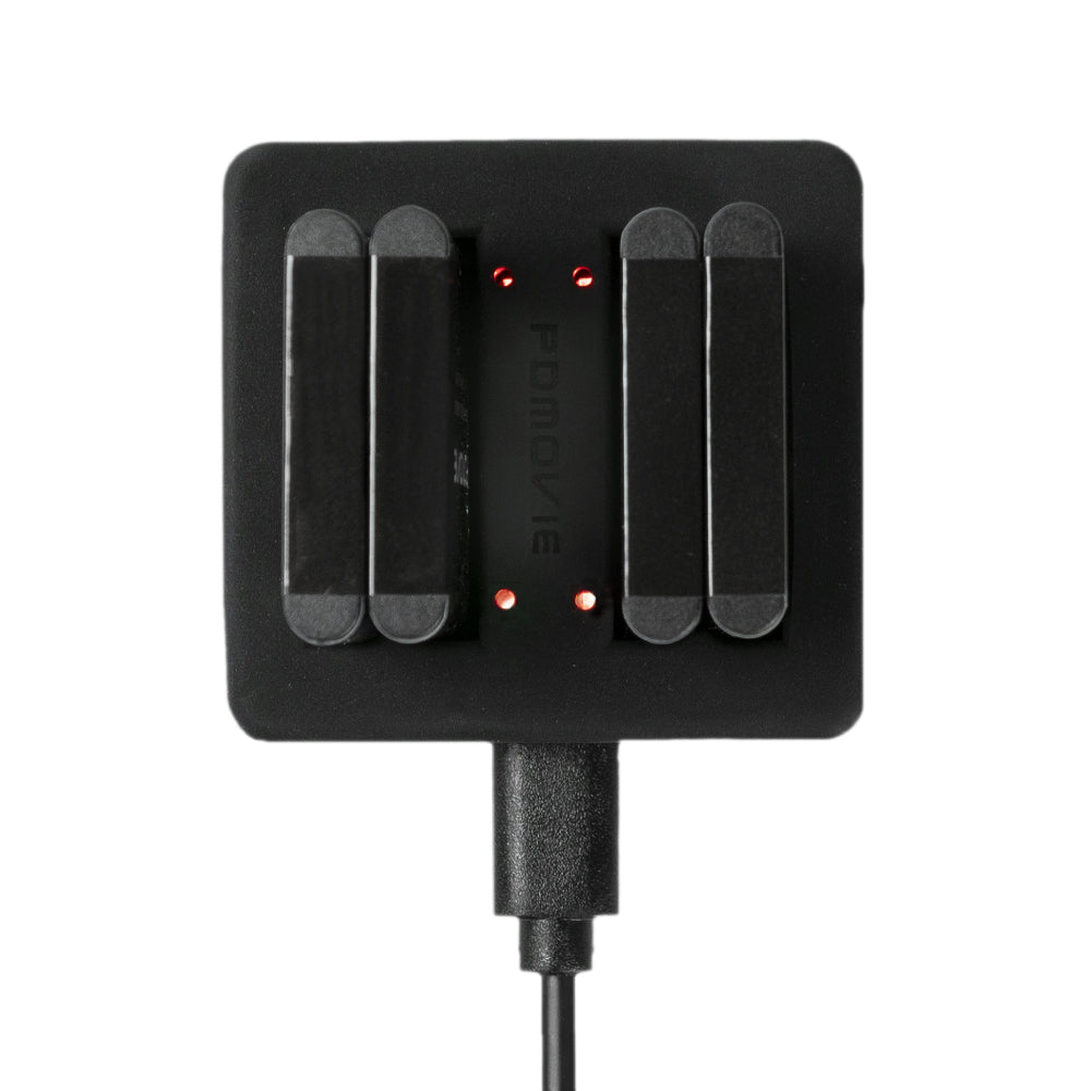 LI-42B /42Bx2 battery charger